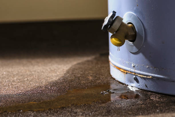  Glendale, AZ Water damage restoration Pros