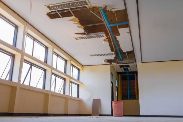 Best Water damage restoration near me  in Glendale, AZ