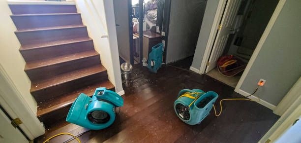 Best Ceiling water damage repair  in Glendale, AZ