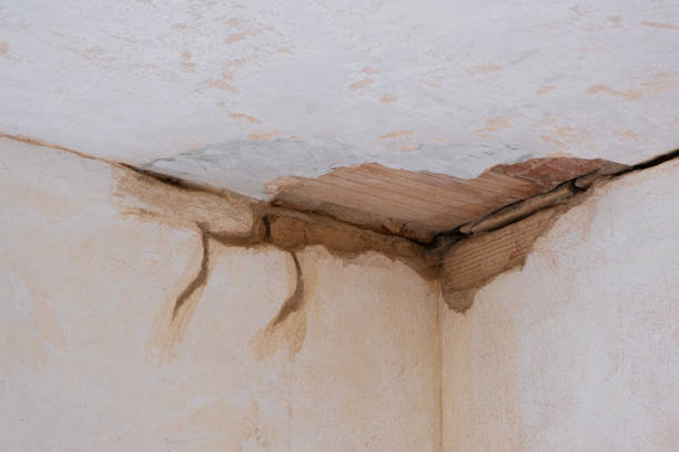 Best Emergency water damage restoration  in Glendale, AZ
