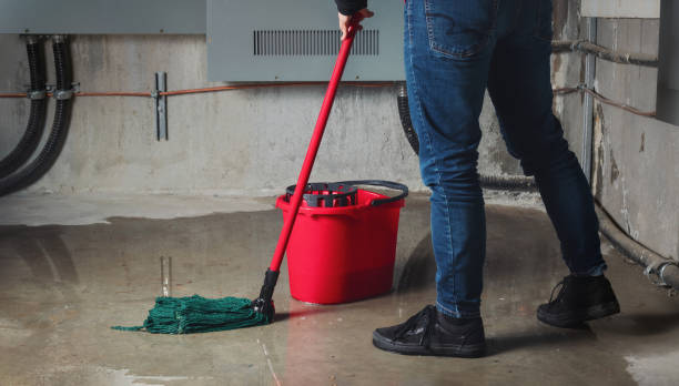 Best Water damage repair service  in Glendale, AZ