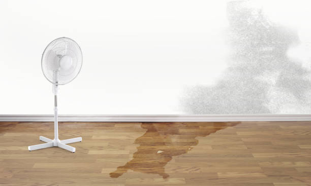 Trusted Glendale, AZ Water damage restoration Experts