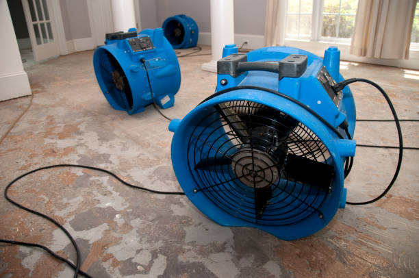 Best Fire Damage Restoration  in Glendale, AZ