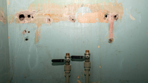 Best Water damage restoration company  in Glendale, AZ