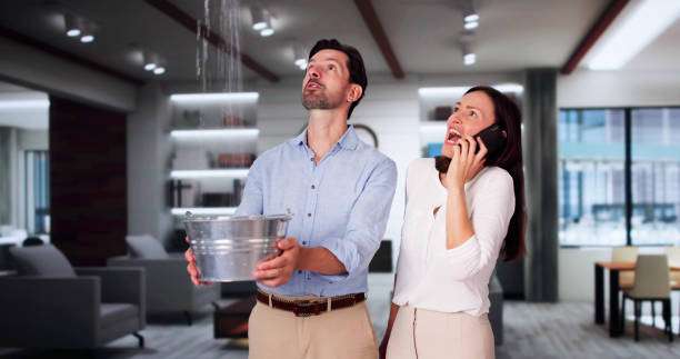Best Water damage cleanup near me  in Glendale, AZ
