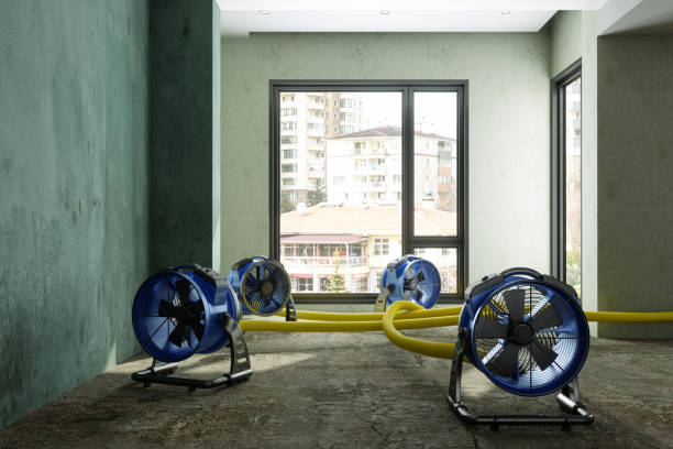 Best Sewage cleanup and water damage restoration  in Glendale, AZ